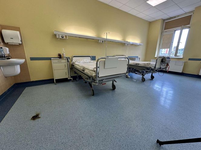 Nie było „dymka”, więc cisnął telefonem! Alarm w szpitalu, strażacy w akcji