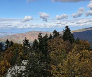 To jedno z najstarszych polskich uzdrowisk najpiękniej wygląda jesienią. Kurowali się w nim Sienkiewicz, Prus, Matejko i Konopnicka