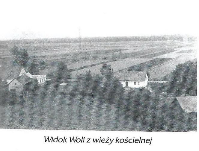 Widok Woli z wieży kościelnej