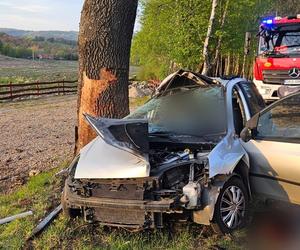 Na prostej zjechał z drogi i uderzył w drzewo