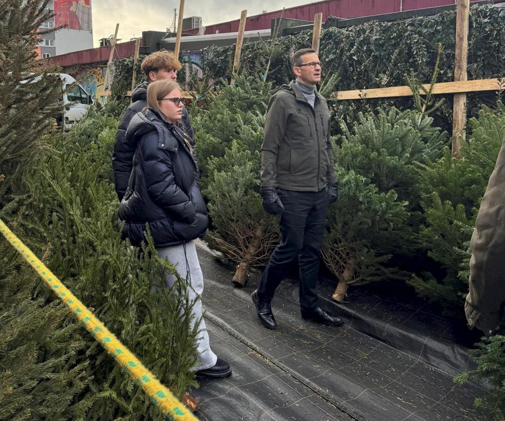 Mateusz Morawiecki wybiera choinkę na bazarze. Do świąt przygotowuje się z rodziną