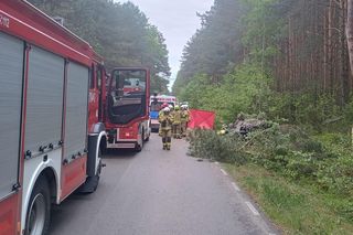 Powiat Łukowski: zderzenie auta z łosiem zakończyło się tragedią