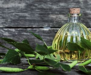 Jak zrobić nalewkę brzozową?