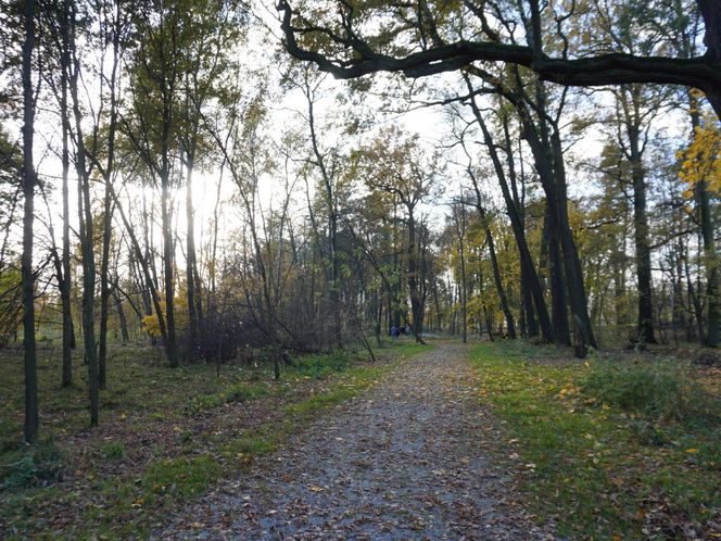 Pałac w Baranowicach jesienią