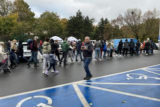 Urząd Miasta Zielona Góra rozdał dynie! Mimo złej pogody były tłumy
