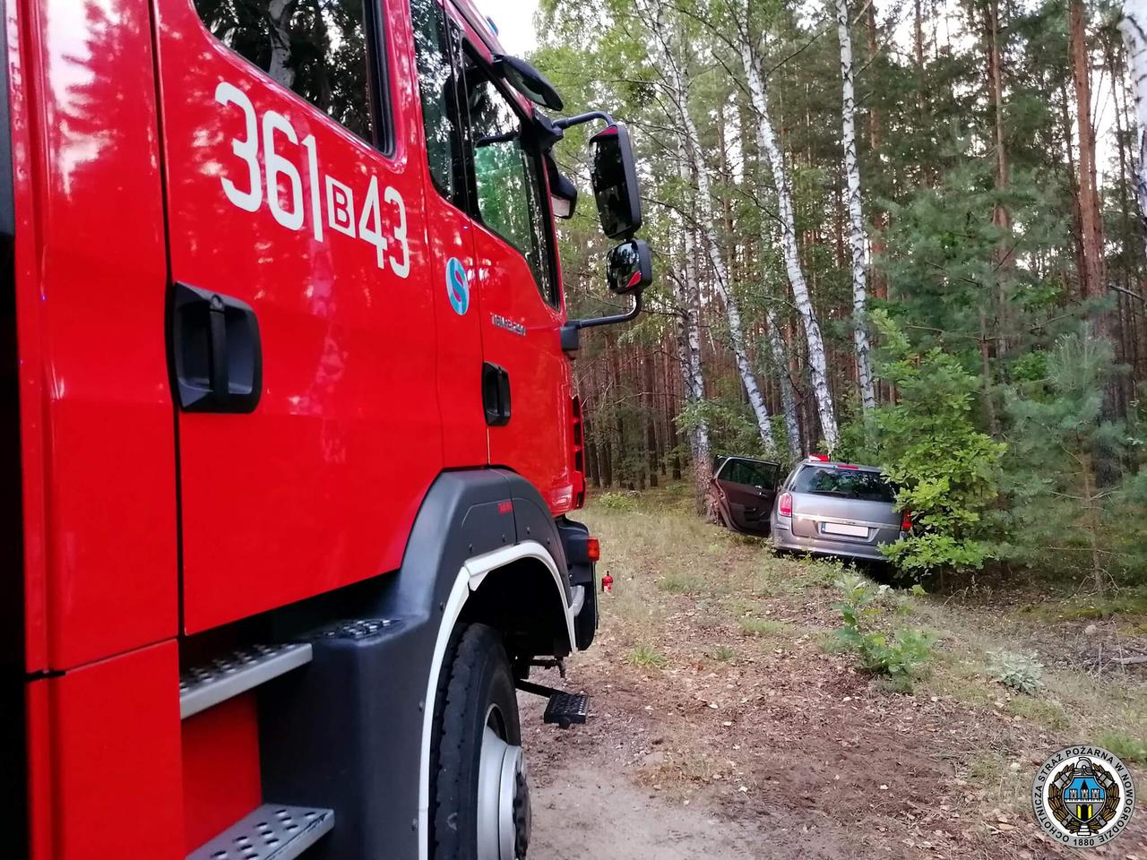 Zbójna. Opel uderzył w drzewo. Kierująca straciła panowanie nad autem [ZDJĘCIA]