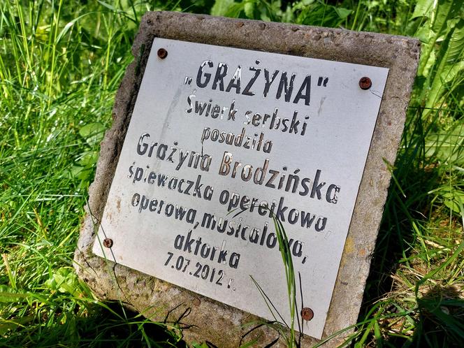 Zachwycająca przyroda i miejsca w Busku-Zdroju