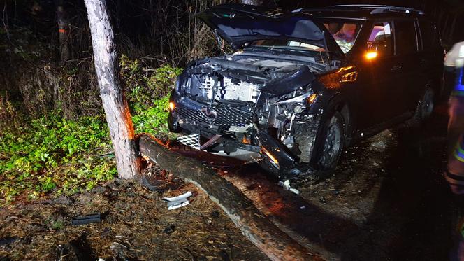 Koszmarny wypadek w Dąbrowie Górniczej. Jeden z samochodów "ściął" drzewo