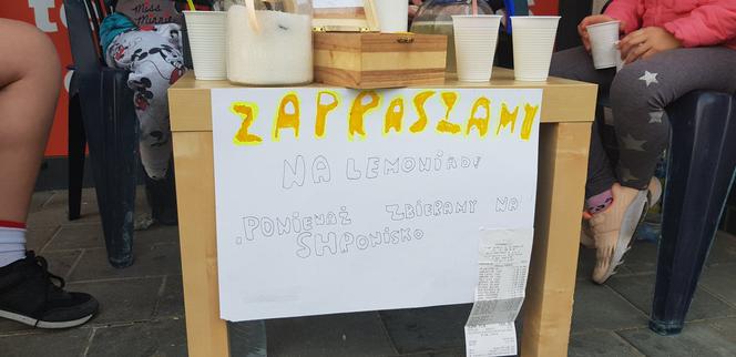 Sprzedają lemoniadę i zbierają na schronisko