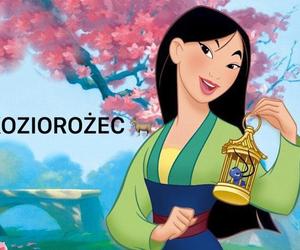 Koziorożec - Mulan