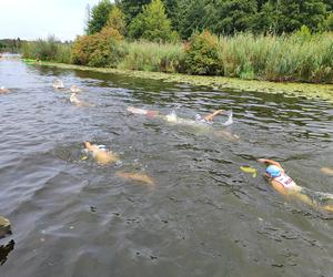 Enea Triathlon Kozienice 2024