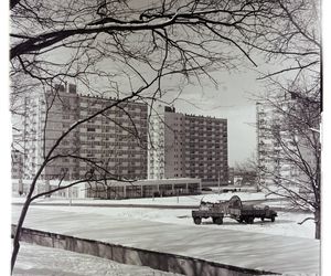 Zielona Góra w zimowej aurze. Czesław Łuniewicz uchwycił zimę kilkadziesiąt lat temu na fotografiach