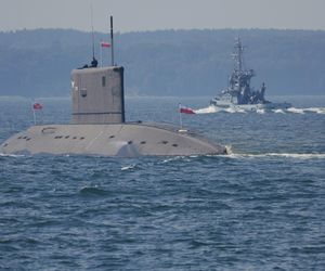 Co z programem Orka? Bejda: Nasz zespół zadaniowy pracuje w pocie czoła każdego dnia