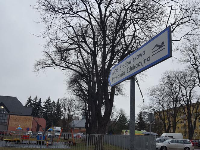 Pływali dla WOŚP w Lesznie