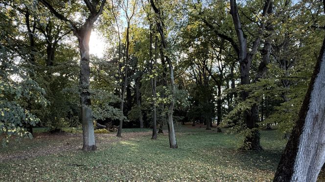 Jesień w Polsce 2025