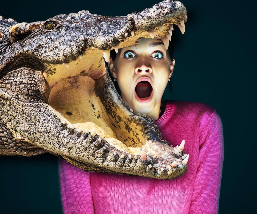 Horror w słynnym zoo. 5-metrowy krokodyl rzucił się na młodą kobietę. Bardzo dużo krwi