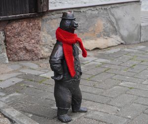 WidziMisie w Białymstoku gotowe na zimę