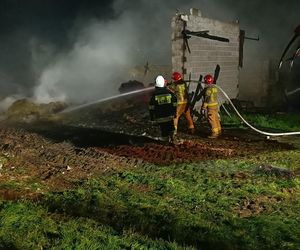 Ogromna tragedia w Irządzach. Bydło spłonęło żywcem, łunę ognia widać było z daleka