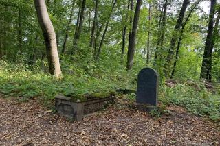 Tak wygląda opuszczony cmentarz w Łagowie, w woj. lubuskim