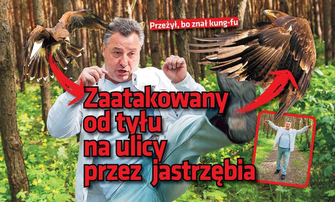 Zaatakowany od tyłu  na ulicy przez  jastrzębia