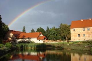 Arboretum Wojsławice prezentuje pełną paletę barw