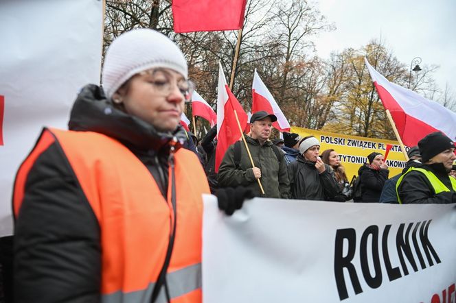 Protest plantatorów tytoniu w Warszawie (3.11.2025)
