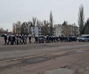 Atestacja koni służących w łódzkiej policji i straży miejskiej