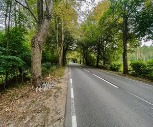 Przyjaciele zginęli w jednym samochodzie. Pochowali ich obok siebie 