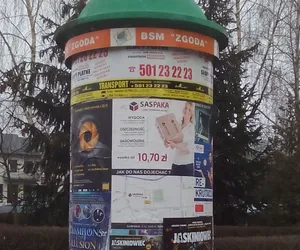 Okrąglaki opanowują Kraków!