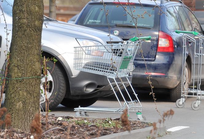 GRAŻYNA SZAPOŁOWSKA NA ZAKUPACH W CENTRUM OGRODNICZYM_1PUBL