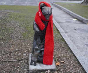 WidziMisie w Białymstoku gotowe na zimę