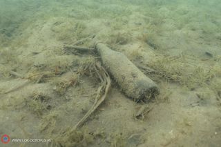 jezioro Tarnobrzeskie Niezwykła akcja płetwonurków
