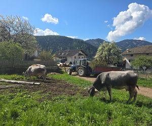 Roter Hahn: Nowoczesna agroturystyka zamiast hotelu – tu bije prawdziwe serce Południowego Tyrolu