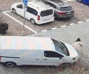 Namysłów. Ciężarna kobieta potrącona na przejściu dla pieszych. Wypadek zarejestrowała kamera [ZDJĘCIA]