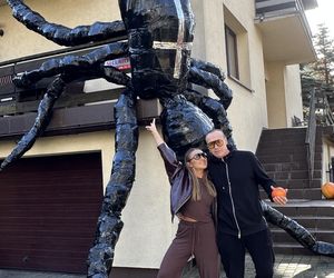 Gigantyczny pająk z Lublina robi furorę w sieci