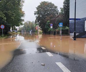 Nysa. Ratownicy WOPR i GOPR z całego kraju zjeżdżają do miasta. Dwugodzinne kolejki w sklepach