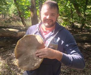 Gigantyczne grzyby w kujawsko-pomorskich lasach
