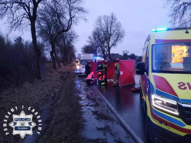 Potrącenie pieszego w Woli Kiedrzyńskiej. Zginął na miejscu