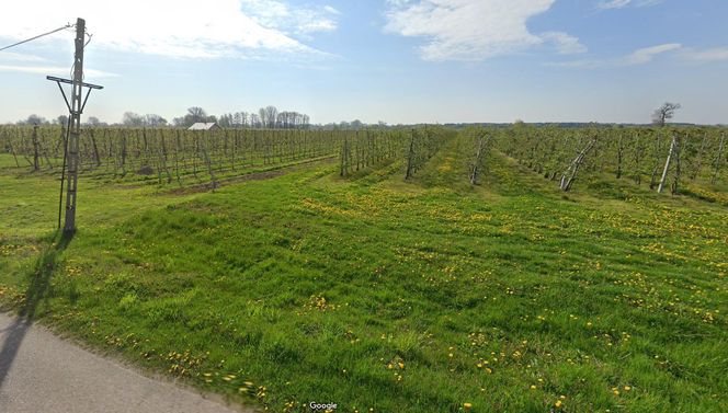 Zabostów Duży - najniżej położona wieś województwa łódzkiego