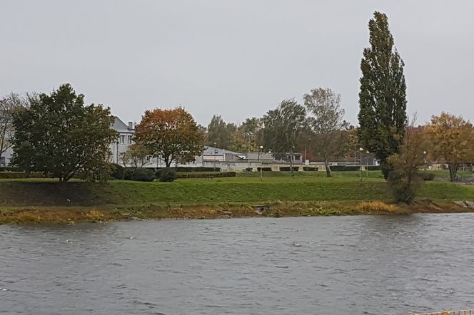 Gorzów: błonia