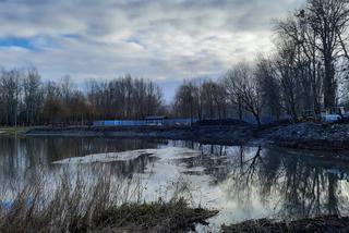 Prace rewitalizacyjne w Parku na Bydgoskim