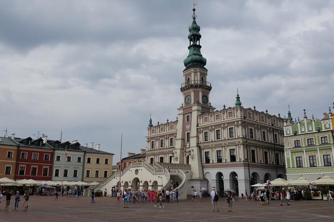 zamość