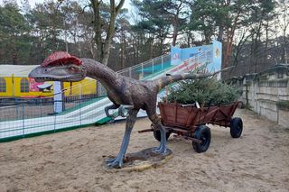 To już ostatni moment, by odwiedzić Wioskę świętego Mikołaja pod Bydgoszczą. Byliśmy tam i mamy zdjęcia