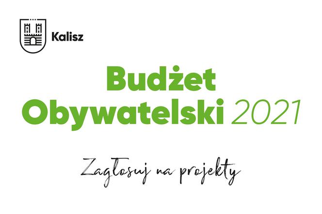 Budżet Obywatelski Kalisza 2021. Rusza głosowanie