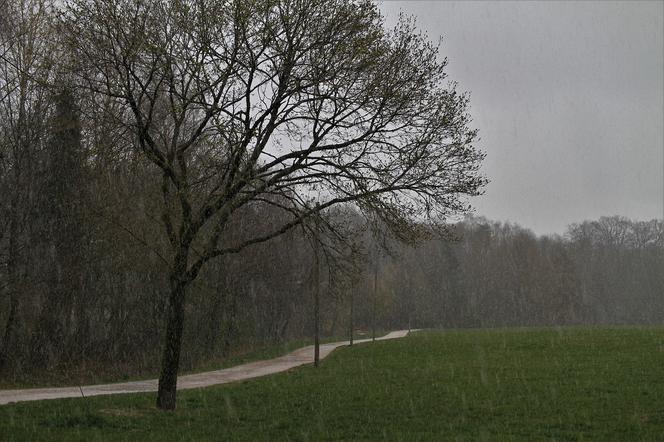 W sobotę deszcz i śnieg! Gdzie będzie najgorzej? [Pogoda IMGW na 26.02.2022]