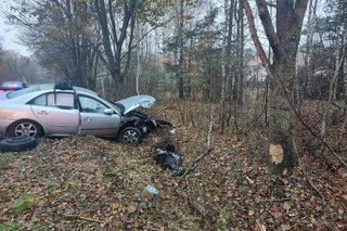 Kośminy: Auto wypadło z drogi. Kierowca dostał mandat!