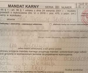 Pięć tysięcy mandatu dla kierowcy z woj. lubelskiego. Tyle miał na liczniku, gdy zatrzymali go policjanci!