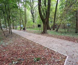 Jesienią w parku miejskim Aleksandria w Siedlcach nie brakuje amatorów spacerów i aktywności na świeżym powietrzu