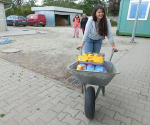 „Wszystkie psiaki nasze są” w schronisku w Henrykowie koło Leszna
