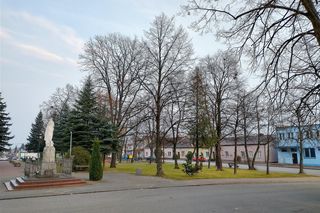 Godzinę od Warszawy leży „największy sad Europy”. To tu zabłądził sam król Kazimierz